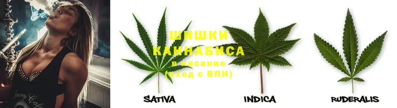 Конопля SATIVA & INDICA  Уяр 